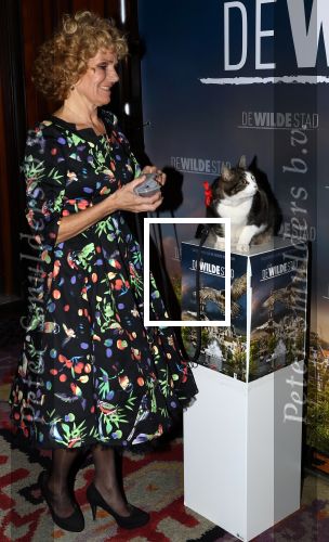 Amsterdam, 26 Februari 2018 Premiere van De wilde stad
Kat Abatutu van Speelfilm De Wilde Stad