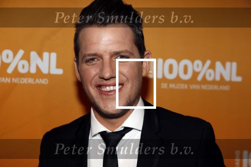 Amsterdam 20 februari 2018
Uitreiking 100% NL awards in club Panama. Kees Tol
