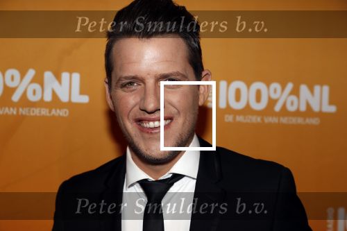 Amsterdam 20 februari 2018
Uitreiking 100% NL awards in club Panama. Kees Tol
