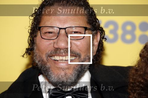 Amsterdam 12 februari 2018
Premiere Gek van Oranje in Tuschinski. Kenneth Herdigein met partner en dochter