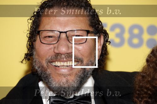 Amsterdam 12 februari 2018
Premiere Gek van Oranje in Tuschinski. Kenneth Herdigein met partner en dochter