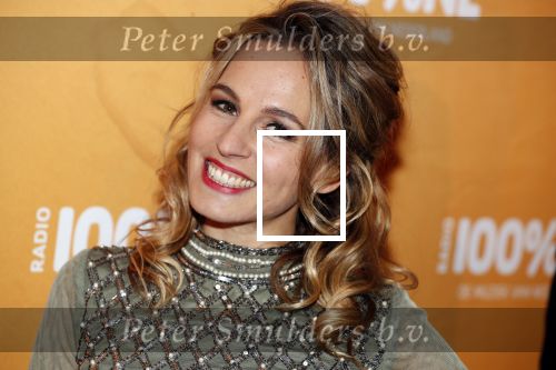 Amsterdam 20 februari 2018
Uitreiking 100% NL awards in club Panama. Elske DeWall en Krystl en ...