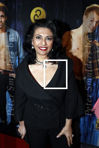 Amsterdam 5 februari 2018
Premiere van the full monty in het nieuwe de la mar theater. 
Laura Fygi met man