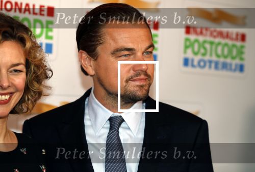 Amsterdam 15 februari 2018
Goed geld gala van de postcodeloterij in carre met als speciale gasten Rafael Nadal met vrouw en Leonardo de Caprio.
