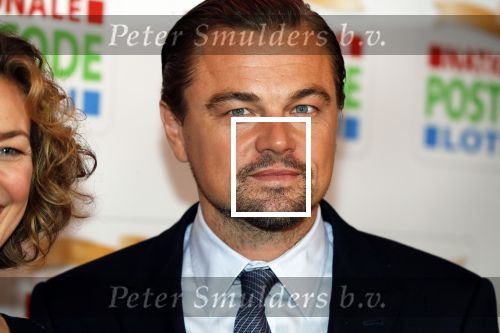 Amsterdam 15 februari 2018
Goed geld gala van de postcodeloterij in carre met als speciale gasten Rafael Nadal met vrouw en Leonardo de Caprio.