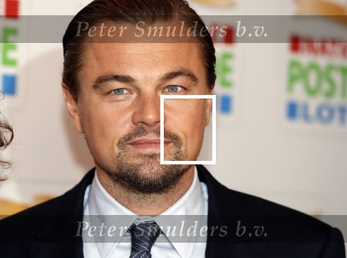 Amsterdam 15 februari 2018
Goed geld gala van de postcodeloterij in carre met als speciale gasten Rafael Nadal met vrouw en Leonardo de Caprio.