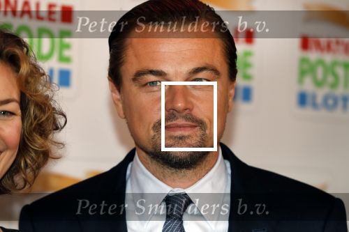 Amsterdam 15 februari 2018
Goed geld gala van de postcodeloterij in carre met als speciale gasten Rafael Nadal met vrouw en Leonardo de Caprio.