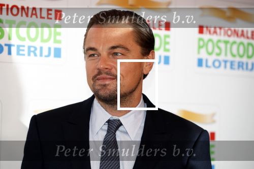 Amsterdam 15 februari 2018
Goed geld gala van de postcodeloterij in carre met als speciale gasten Rafael Nadal met vrouw en Leonardo de Caprio.