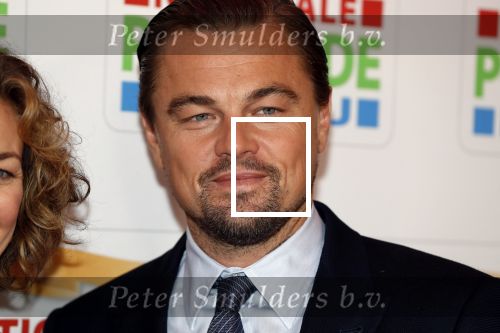 Amsterdam 15 februari 2018
Goed geld gala van de postcodeloterij in carre met als speciale gasten Rafael Nadal met vrouw en Leonardo de Caprio.