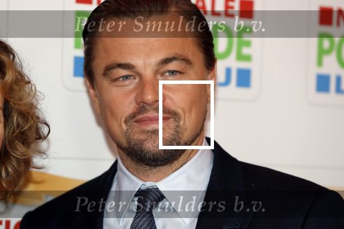Amsterdam 15 februari 2018
Goed geld gala van de postcodeloterij in carre met als speciale gasten Rafael Nadal met vrouw en Leonardo de Caprio.