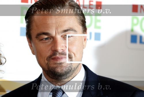 Amsterdam 15 februari 2018
Goed geld gala van de postcodeloterij in carre met als speciale gasten Rafael Nadal met vrouw en Leonardo de Caprio.