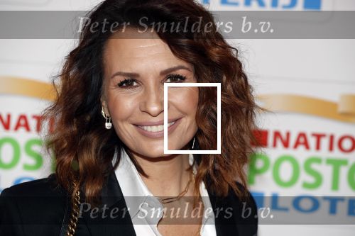 Amsterdam 15 februari 2018
Goed geld gala van de postcodeloterij in carre met als speciale gasten Rafael Nadal met vrouw en Leonardo de Caprio. Marco en Leontine Borsato