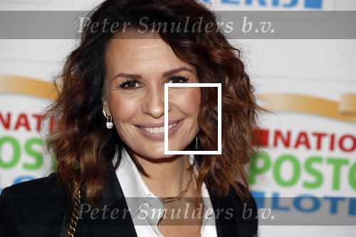 Amsterdam 15 februari 2018
Goed geld gala van de postcodeloterij in carre met als speciale gasten Rafael Nadal met vrouw en Leonardo de Caprio. Marco en Leontine Borsato