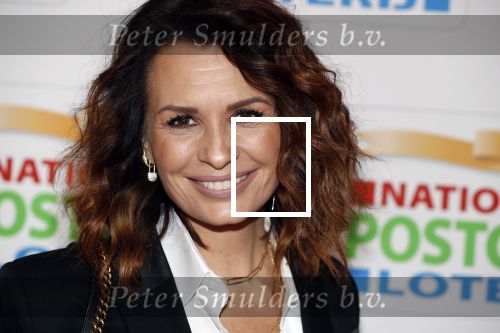 Amsterdam 15 februari 2018
Goed geld gala van de postcodeloterij in carre met als speciale gasten Rafael Nadal met vrouw en Leonardo de Caprio. Marco en Leontine Borsato