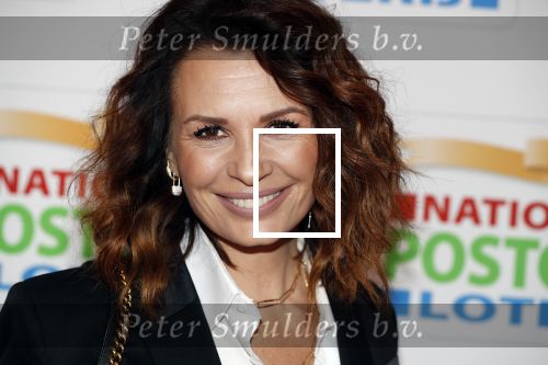 Amsterdam 15 februari 2018
Goed geld gala van de postcodeloterij in carre met als speciale gasten Rafael Nadal met vrouw en Leonardo de Caprio. Marco en Leontine Borsato