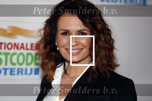Amsterdam 15 februari 2018
Goed geld gala van de postcodeloterij in carre met als speciale gasten Rafael Nadal met vrouw en Leonardo de Caprio. Marco en Leontine Borsato