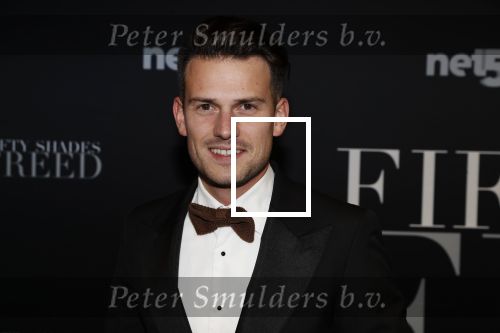 Amsterdam 6 februari 2018
Premiere 50 shades Freed in Tuschinski. Levi v kempen