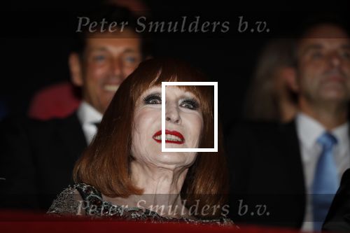 Amsterdam 2 oktober 2017
Premiere Liesbeth List de musical in Carre