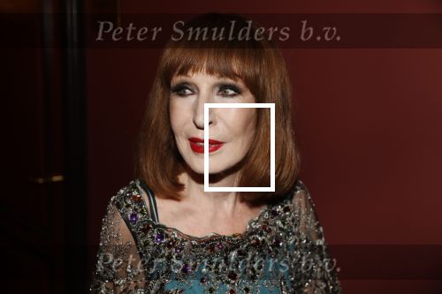 Amsterdam 2 oktober 2017
Premiere Liesbeth List de musical in Carre