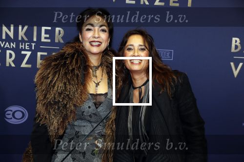 Amsterdam 5 maart 2018
Premiere bankier van het verzet in het de Lemar theater. Lois Lane