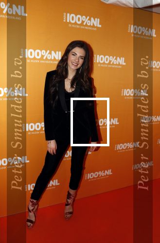 Amsterdam 20 februari 2018
Uitreiking 100% NL awards in club Panama. Maan Steenwinkel