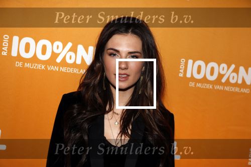 Amsterdam 20 februari 2018
Uitreiking 100% NL awards in club Panama. Maan Steenwinkel