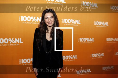 Amsterdam 20 februari 2018
Uitreiking 100% NL awards in club Panama. Maan Steenwinkel