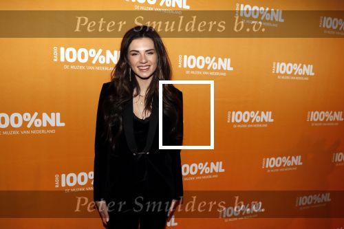 Amsterdam 20 februari 2018
Uitreiking 100% NL awards in club Panama. Maan Steenwinkel