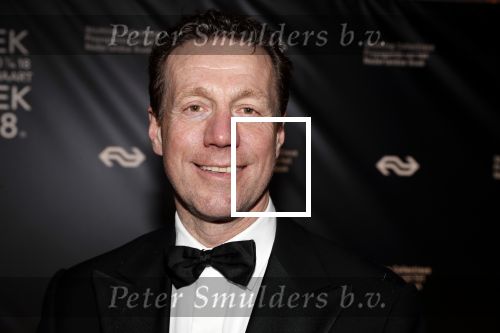 Amsterdam 9 maart 2018 
Boekenbal 2018 in de schouwburg van Amsterdam. Marcel Beerthuizen