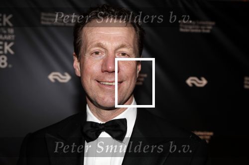 Amsterdam 9 maart 2018 
Boekenbal 2018 in de schouwburg van Amsterdam. Marcel Beerthuizen