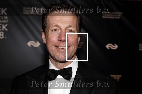 Amsterdam 9 maart 2018 
Boekenbal 2018 in de schouwburg van Amsterdam. Marcel Beerthuizen