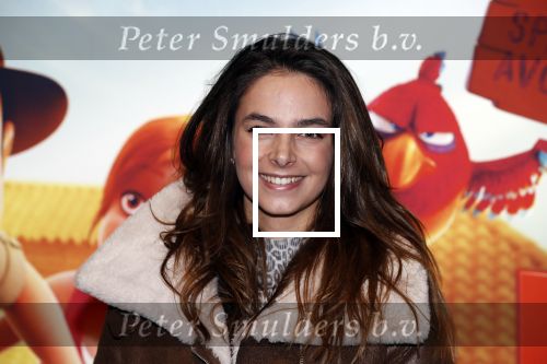 Amsterdam 11 februari 2018
Premiere Ted en het geheim van koning Midas in Pathe arena. Margot hanekamp