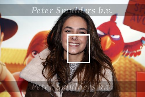 Amsterdam 11 februari 2018
Premiere Ted en het geheim van koning Midas in Pathe arena. Margot hanekamp