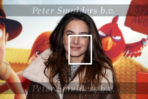 Amsterdam 11 februari 2018
Premiere Ted en het geheim van koning Midas in Pathe arena. Margot hanekamp