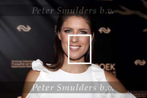 Amsterdam 9 maart 2018 
Boekenbal 2018 in de schouwburg van Amsterdam.
Marieke Elsinga