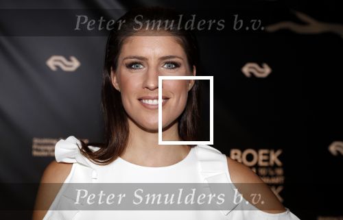 Amsterdam 9 maart 2018 
Boekenbal 2018 in de schouwburg van Amsterdam.
Marieke Elsinga