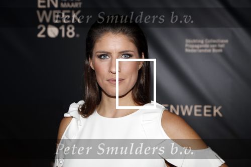 Amsterdam 9 maart 2018 
Boekenbal 2018 in de schouwburg van Amsterdam.
Marieke Elsinga