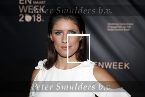 Amsterdam 9 maart 2018 
Boekenbal 2018 in de schouwburg van Amsterdam.
Marieke Elsinga