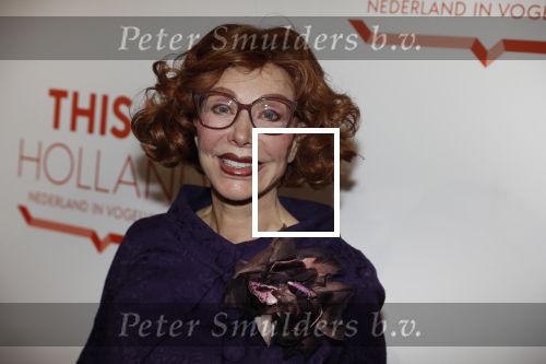 Amsterdam 1 februari 2018 
Opening This is Holland. Marijke Helwegen met man Harry