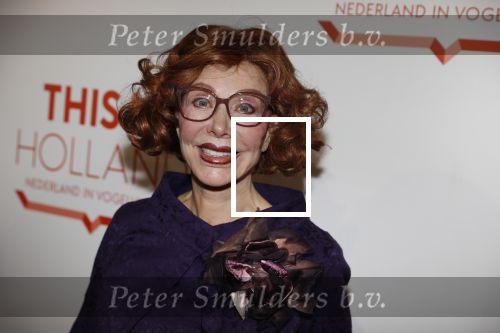 Amsterdam 1 februari 2018 
Opening This is Holland. Marijke Helwegen met man Harry