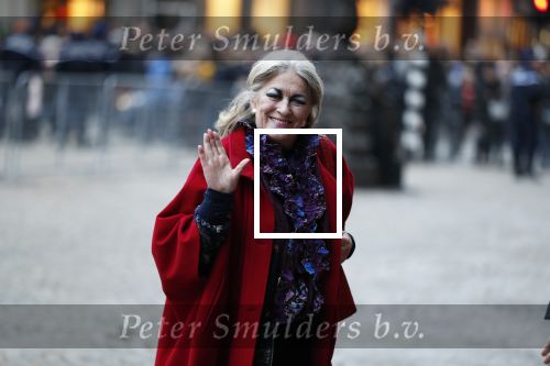 Amsterdam 3 februari 2018 
Prinses Beatrix viert haar 80e verjaardag in het paleis op de dam. Marte Rohling en Bert Wassenaar