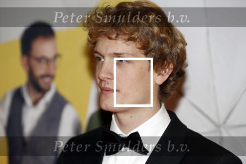 Amsterdam 12 februari 2018
Premiere Gek van Oranje in Tuschinski. Martijn Lakemeier
