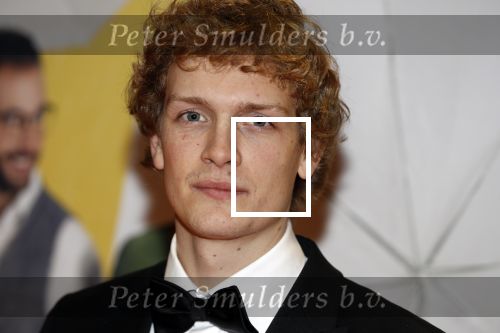 Amsterdam 12 februari 2018
Premiere Gek van Oranje in Tuschinski. Martijn Lakemeier