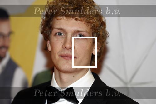 Amsterdam 12 februari 2018
Premiere Gek van Oranje in Tuschinski. Martijn Lakemeier