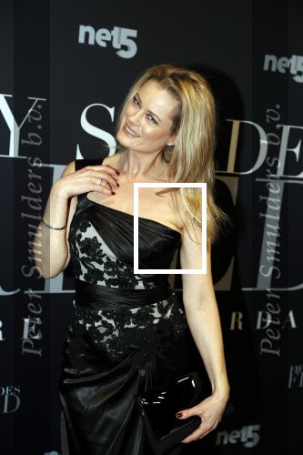 Amsterdam 6 februari 2018
Premiere 50 shades Freed in Tuschinski. Monique Sluyter