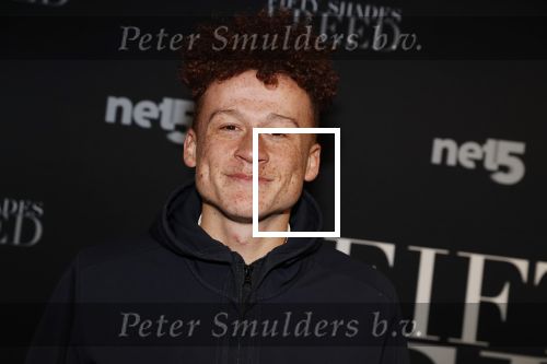 Amsterdam 6 februari 2018
Premiere 50 shades Freed in Tuschinski. Montell van Leijen