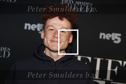 Amsterdam 6 februari 2018
Premiere 50 shades Freed in Tuschinski. Montell van Leijen