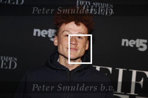 Amsterdam 6 februari 2018
Premiere 50 shades Freed in Tuschinski. Montell van Leijen