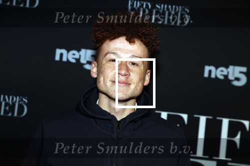 Amsterdam 6 februari 2018
Premiere 50 shades Freed in Tuschinski. Montell van Leijen