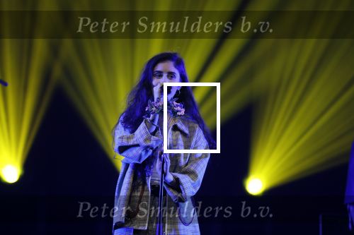 Amsterdam 12 februari 2018
Uitreiking Edison muziekprijzen in de westergasfabriek. Naaz